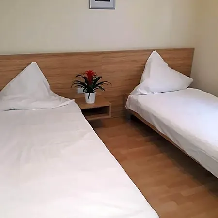 Restaurant Stern Hotel 3*